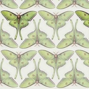Vintage Luna Moths
