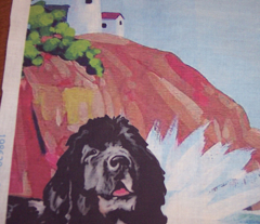 Newf With Lighthouse Curtain Panel Right Facing