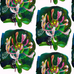 honeysuckle