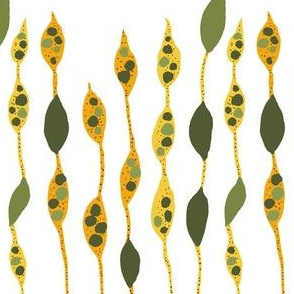 Pods abstract