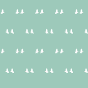 albino crows on sky blue