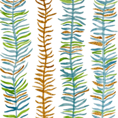 Feathers In a Row