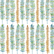 Feathers In a Row