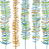 Feathers In a Row