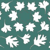 Rhex-pattern-wht-lvs-mgrn-bkgr_shop_thumb