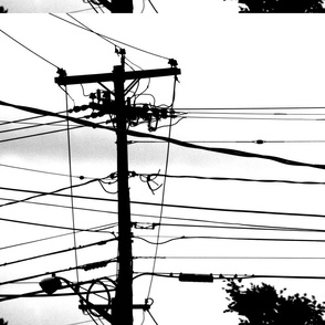 Telephone Pole