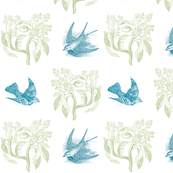 Aquagreen birds in flight