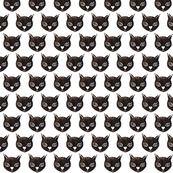 Black Cat Stamp