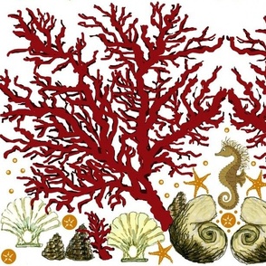 coral_seahorsetoo