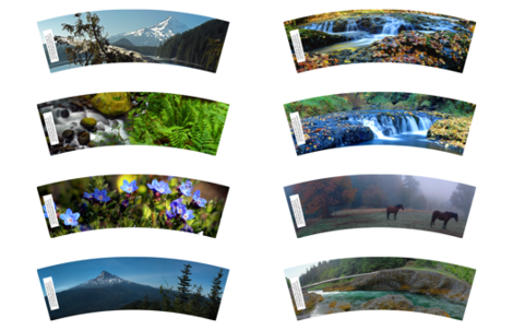 oregon-nature-1 fabric by cafe_projections on Spoonflower - custom fabric