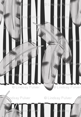 Feathers and Stripes B&W