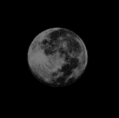 Many Moons