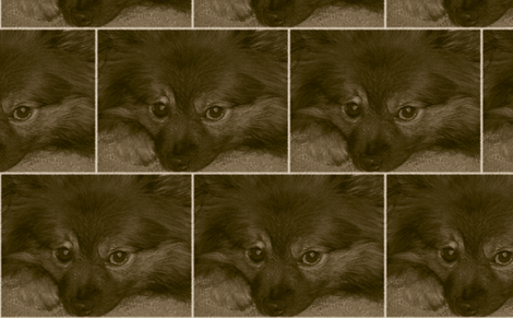 Sad Pom fabric by fabricsbydesign on Spoonflower - custom fabric