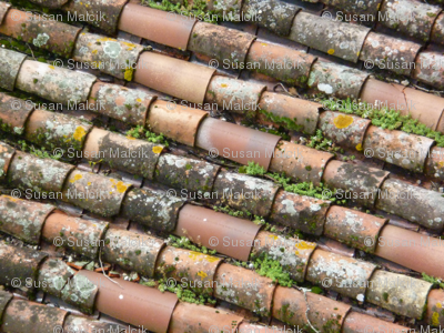 Tile Roof
