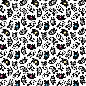 Panda Anatomy 2