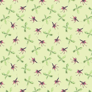 wild fuschia pale green