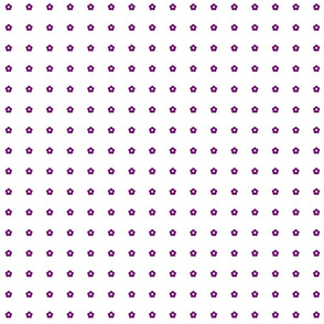 5 petal flower purple