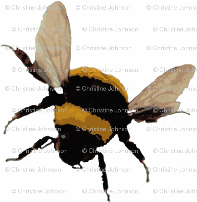 bee's on white