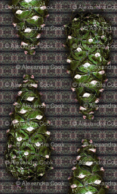 shishka pine cone by Alexandra Cook