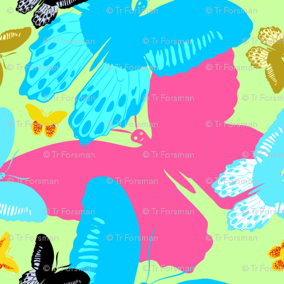 Butterfly Wonderland overlays