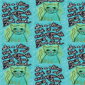 StrayCat