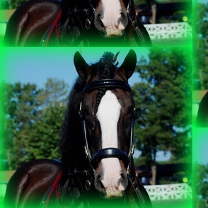 culpeper_VA_155-ed