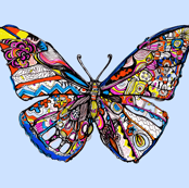 butterfly