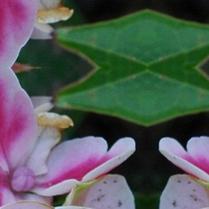flower in a flower