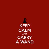 Carry_a_wand_18x24_shop_thumb