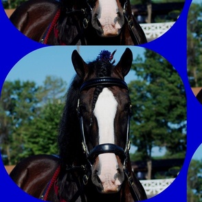 culpeper_VA_155-ed
