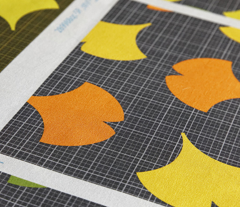 Autumn Ginkgo 1B
