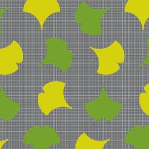 Spring Ginkgo 1B