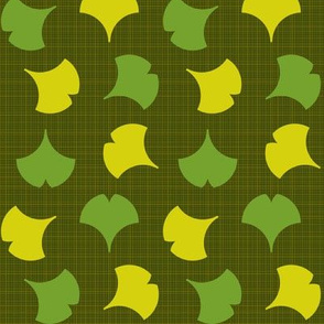Spring Ginkgo 2B