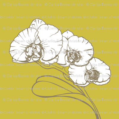 Orchid_ChartrueseFabric