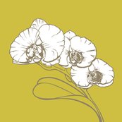 Rrrrrrorchid_chartruesefabric_shop_thumb