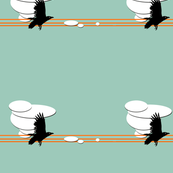 high altitude crow