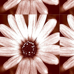 brown_tinted_FLOWER_14