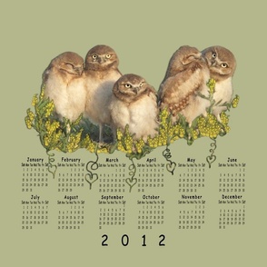 Burrowing Owlets