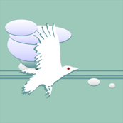 high altitude albino crow