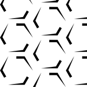UMBELAS COMB 2