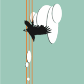 high altitude crow border