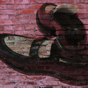 Dancing on the Wall 1