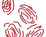 Rrrr1_ed_thumb