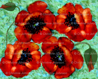 a poppy to remember
