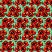 a poppy to remember