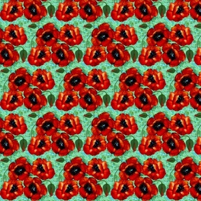 a poppy to remember