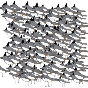 flock of titmice
