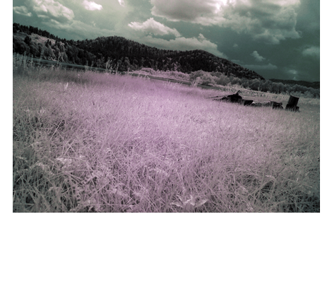 infrared