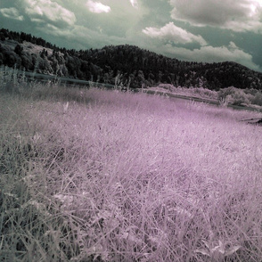 infrared