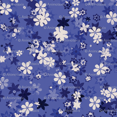 Flowers 14, S